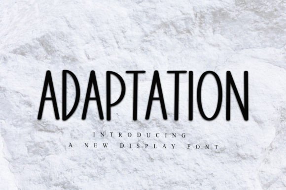 Adaptation: The Display Font That Gave My Brand a Fresh Start